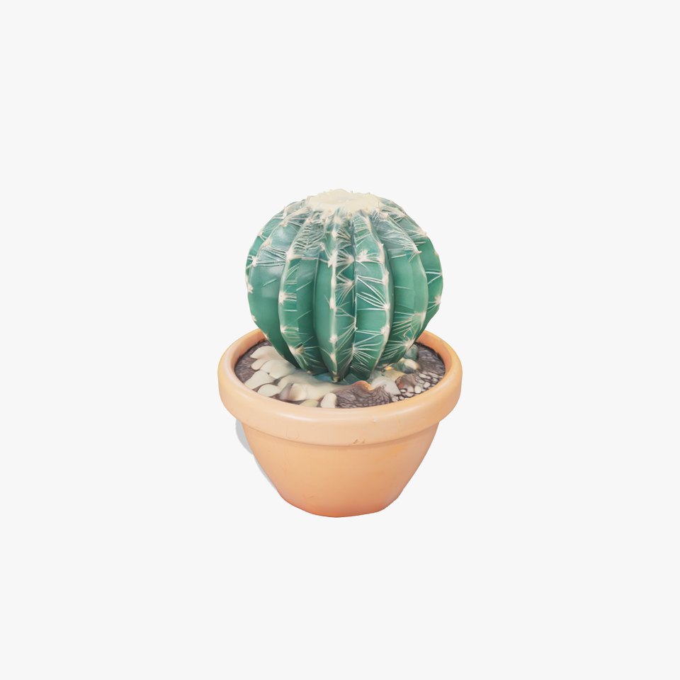 Opuntia Cactus in Clay Pot model pack